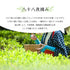 粗加工 Hachijuhachiya 深蒸煎茶 100g 新茶 2023